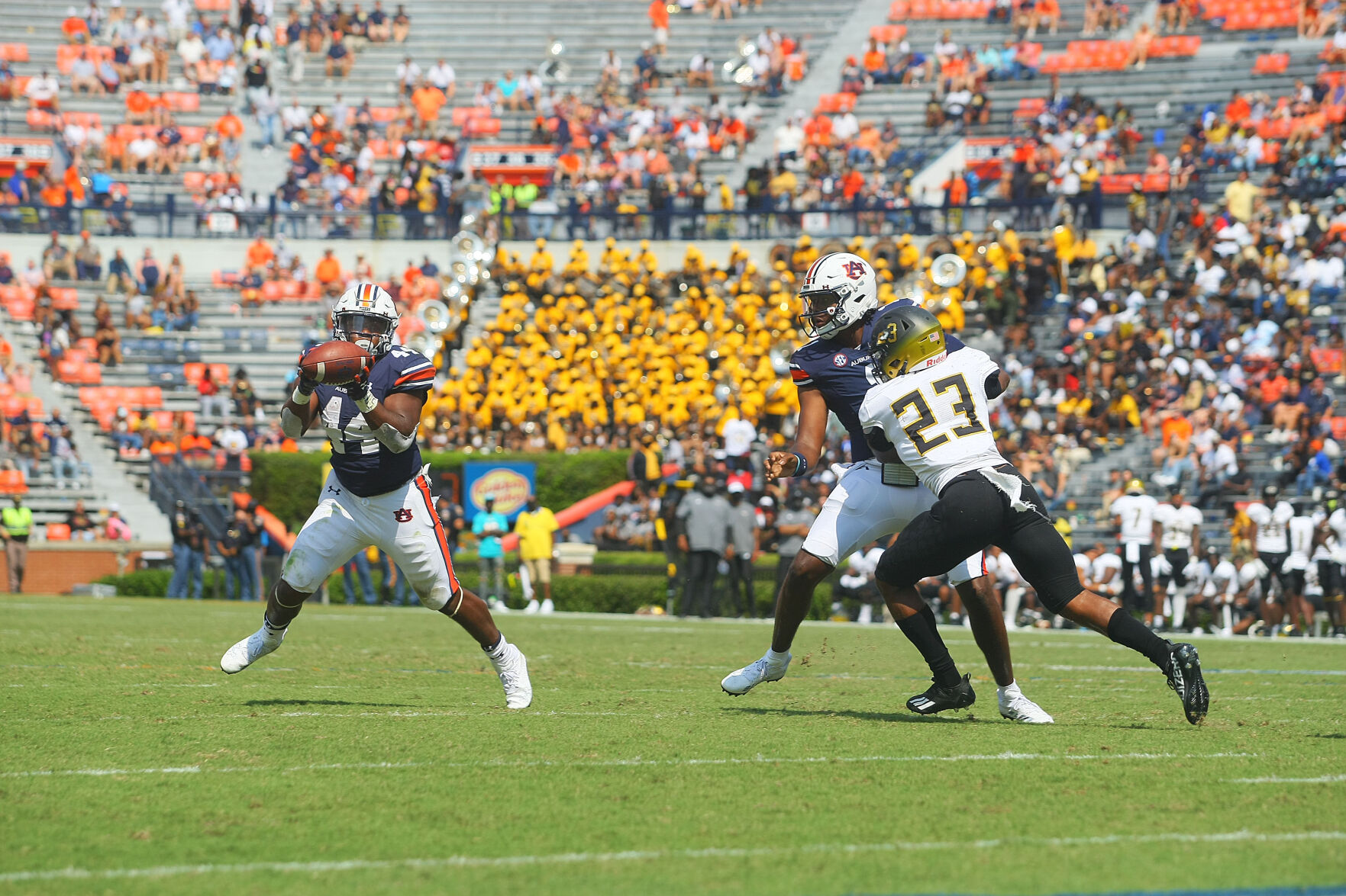 Alabama State University Hornets v Auburn September 11, 2021